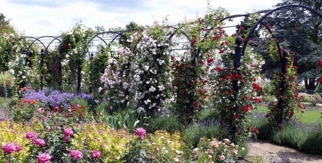 pergola walkway