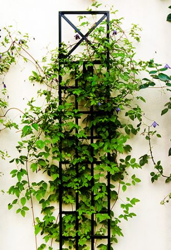 metal trellis