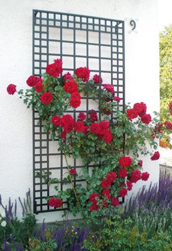 Wall trellises & treillages in wrought iron quality ...