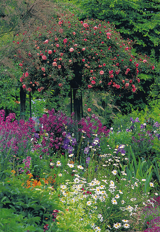 rose obelisk