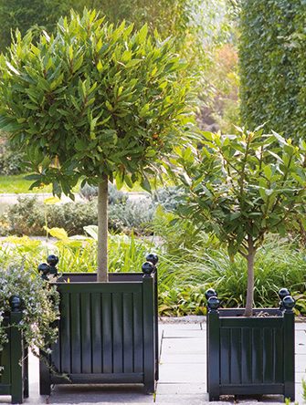 Versailles Planters ~ Classic Garden Elements UK