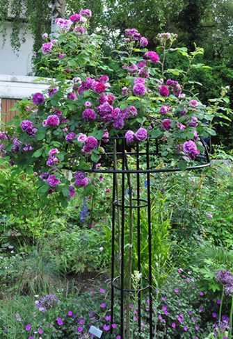 High-quality Garden Obelisks & Rose Pillars ~ Classic Garden Elements