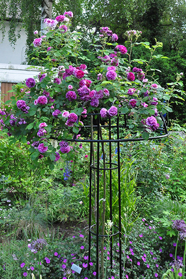 4 giverny uk