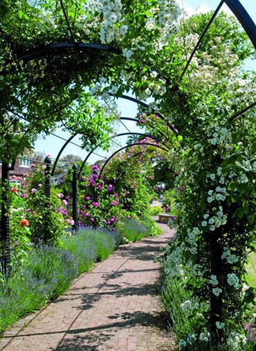 st albans pergola path pergola walkway