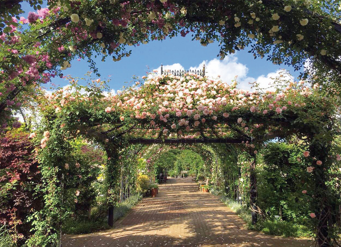 Portfolio ~ Classic Garden Elements UK