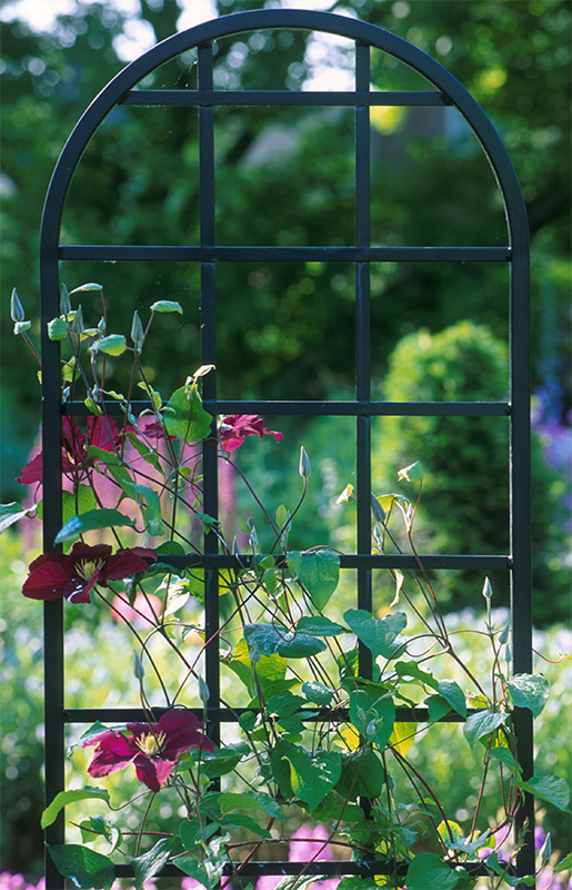 The Burlington Trellis ~ freestanding support ~ Classic Garden Elements