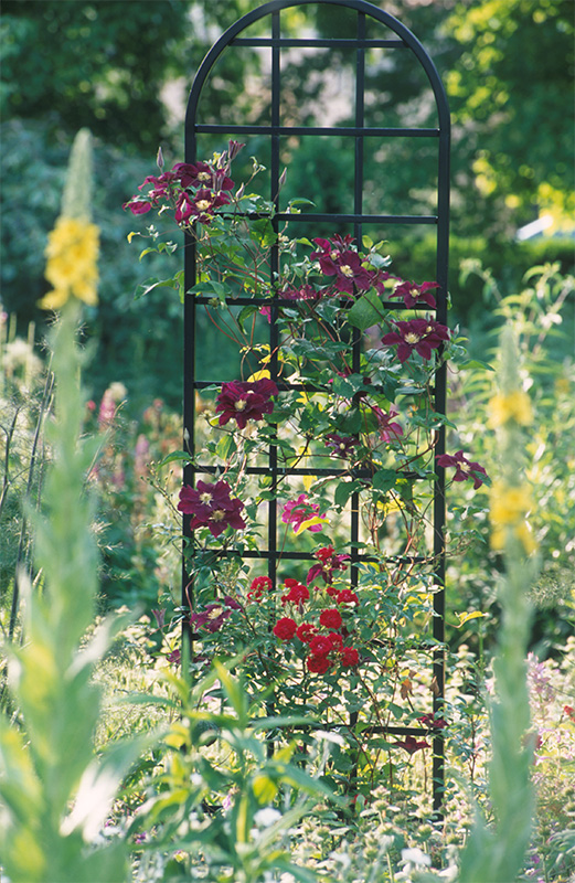 The Burlington Trellis ~ freestanding support ~ Classic Garden Elements