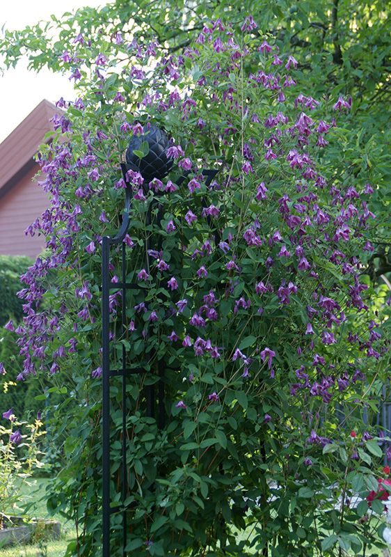 High quality Rose Obelisk buy on Classic Garden Elements UK