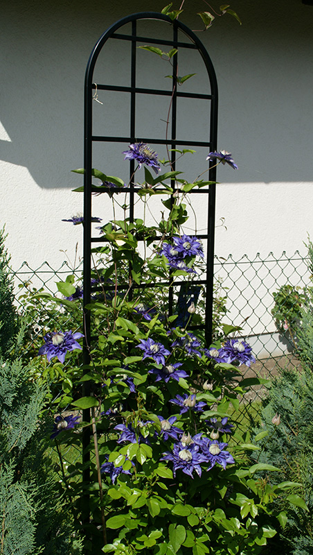 The Burlington Trellis ~ freestanding support ~ Classic Garden Elements