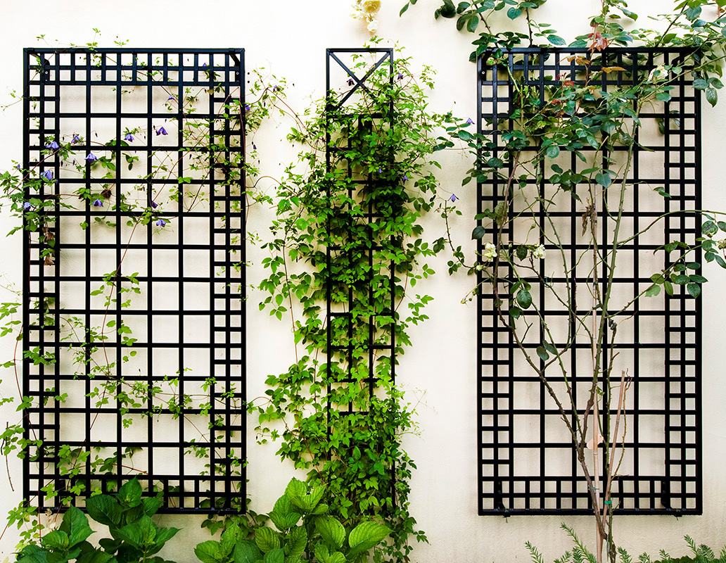 Poundbury Trellis Order Wall Trellis Classic Garden Elements UK