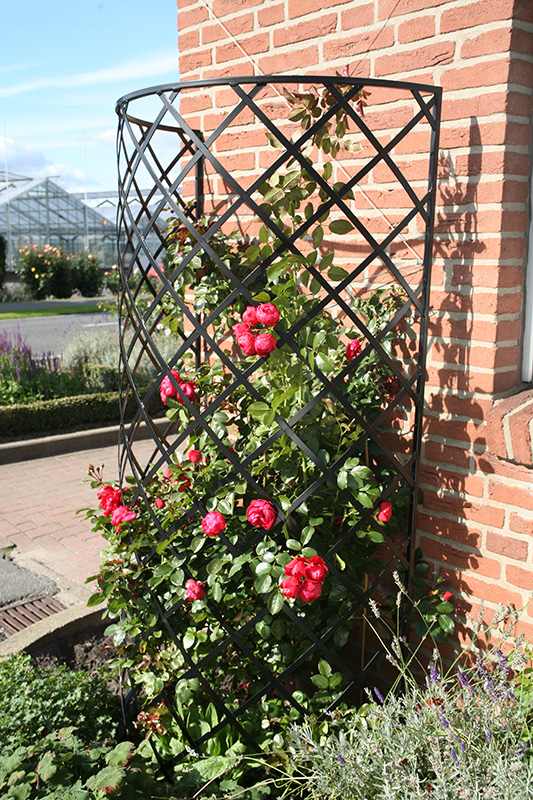 The 'Exedra' Metall Wall Trellis is a unique half-round 