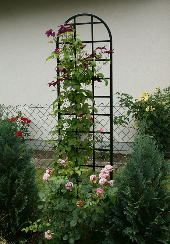 The Burlington Trellis ~ freestanding support ~ Classic Garden Elements