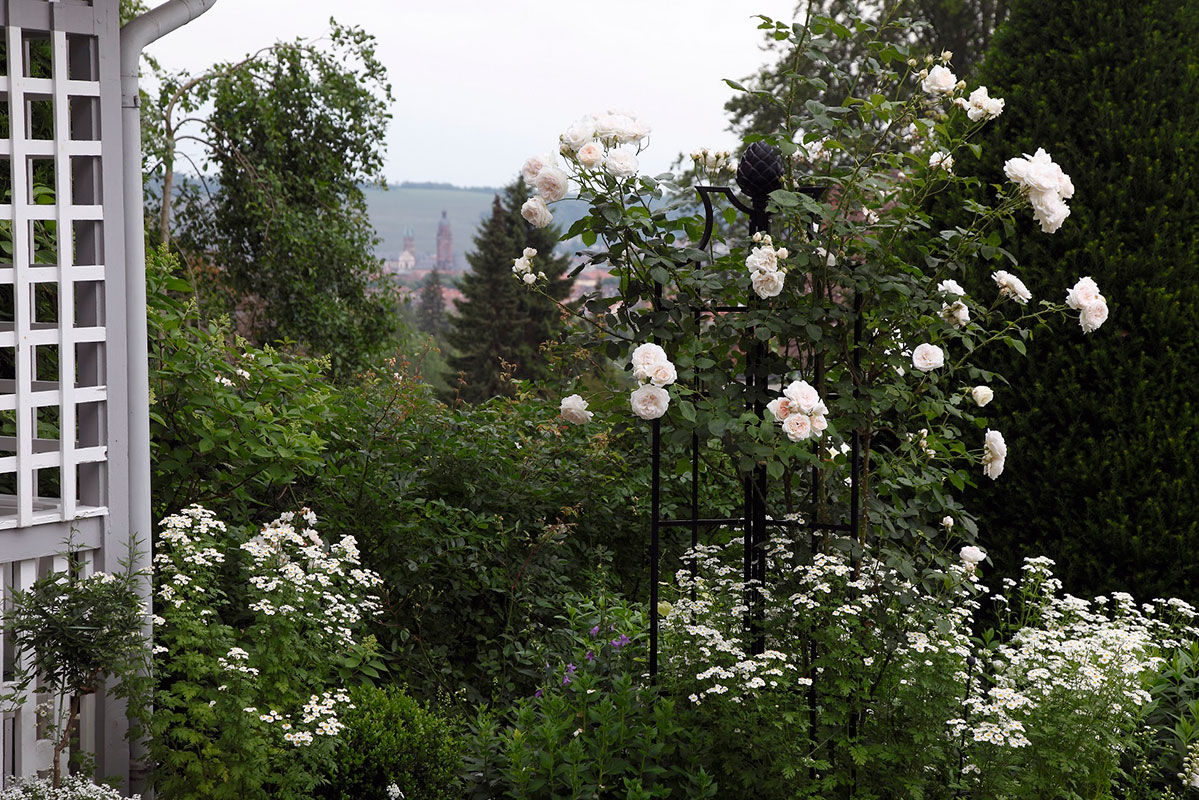 High quality Rose Obelisk buy on Classic Garden Elements UK