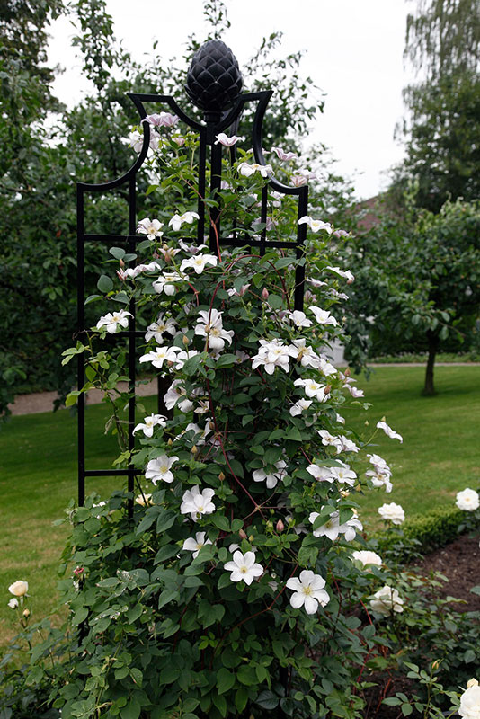 High quality Rose Obelisk buy on Classic Garden Elements UK