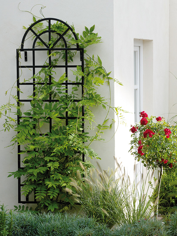 Orangery Trellis ~ Iron Wall Trellis to order at Classic 