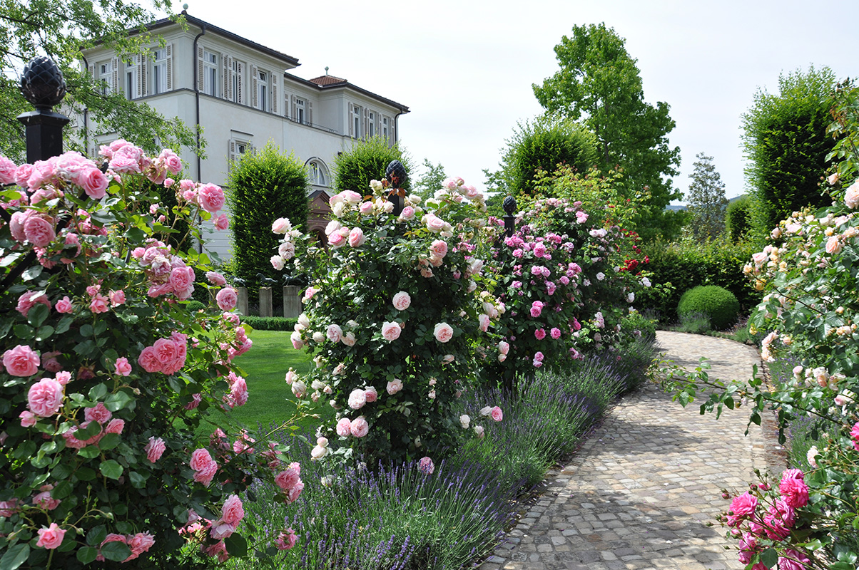 villas garden with stately rose pillar