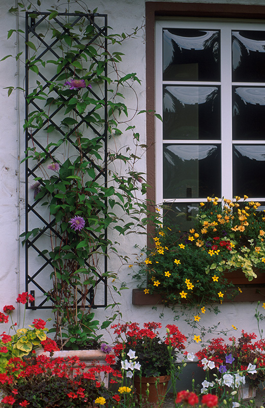 De Rigueur Trellis wroughtiron Wall Trellises Classic Garden Elements
