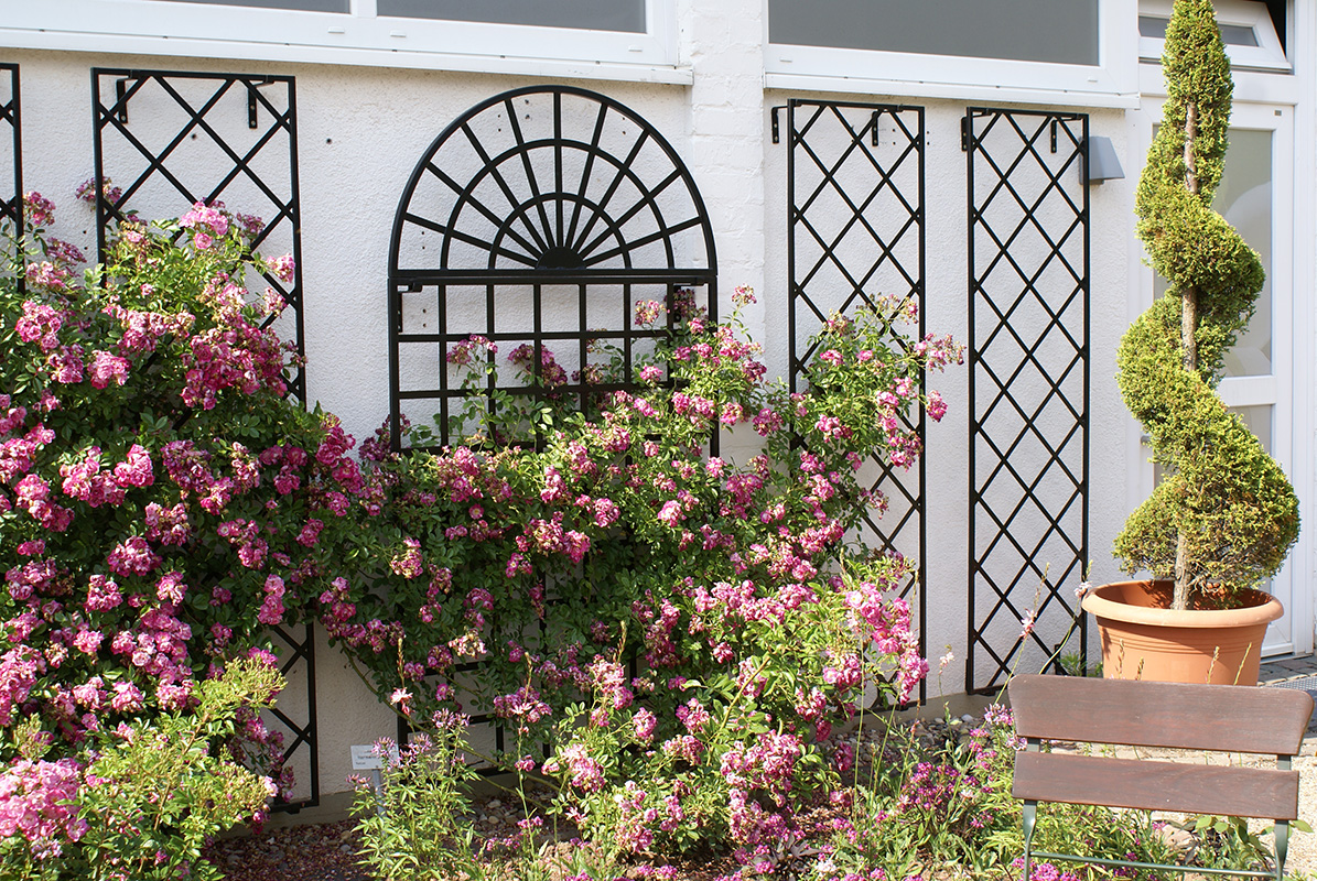 De Rigueur Trellis ~ wrought-iron Wall Trellises ~ Classic Garden Elements