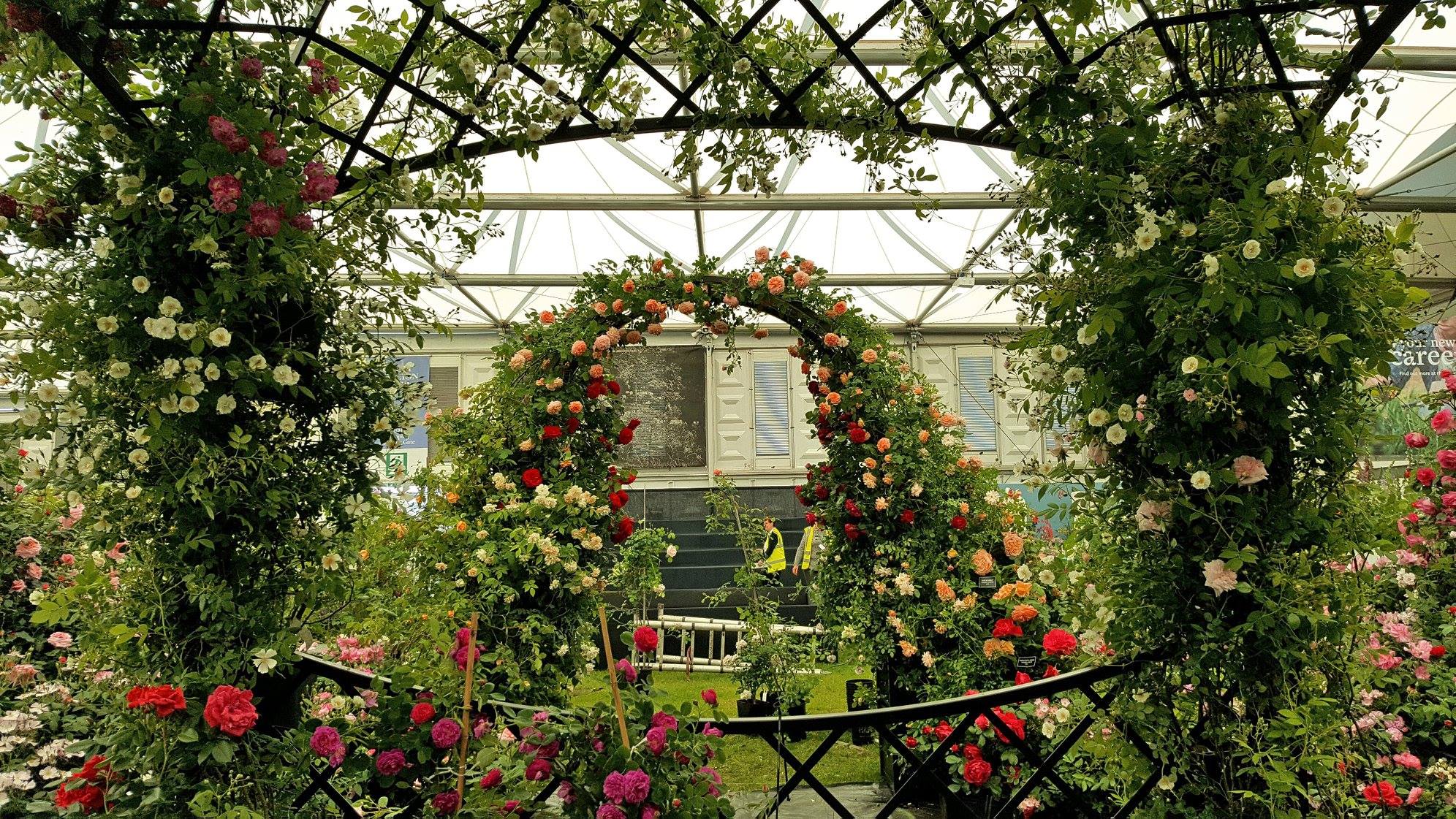 Chelsea Flower Show 2018-Day4-1
