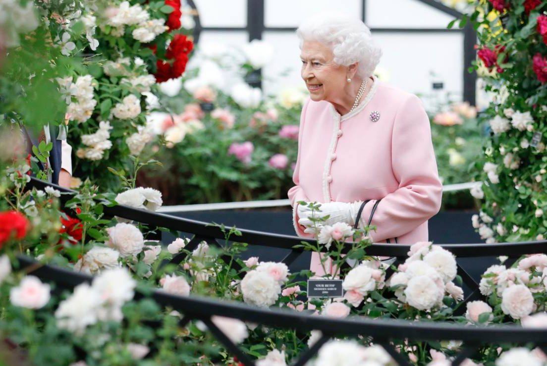 Chelsea Flower Show 2018-3