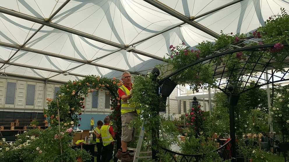 Chelsea Flower Show Day 2