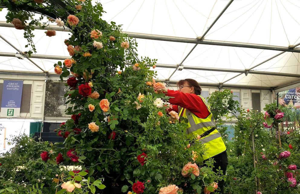 Chelsea Flower Show Day 3