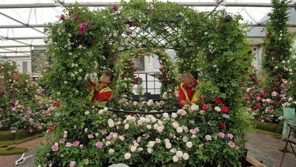 Wedding Gazebo 'Buscot Park' at the Chelsea Flower Show - Build Up