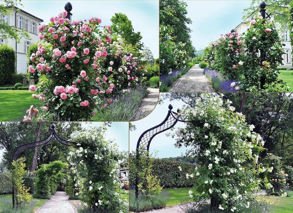 Classic Garden Elements A Household Name For Luxurious Metal Garden Arches