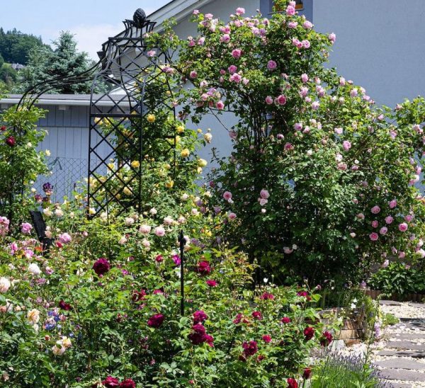 The Kiftsgate Gazebo by Classic Garden Elements in a private garden in Austria