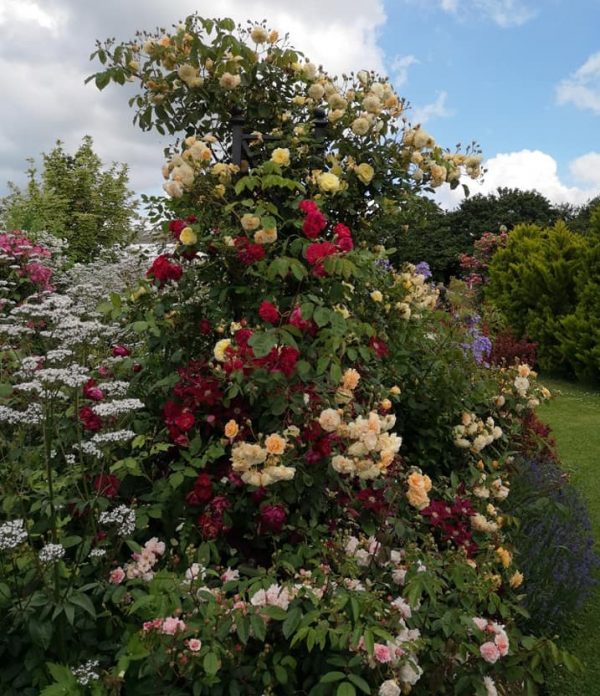 Classic Garden Elements' Eltville Tall Garden Obelisk