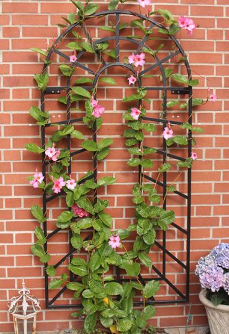 Small Trompe-l’œil Wall Trellis by Classic Garden Elements installed on a red-brick wall