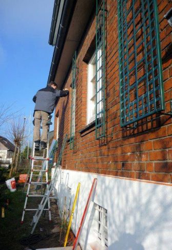 Espalier Metal Garden Trellis - Image 7