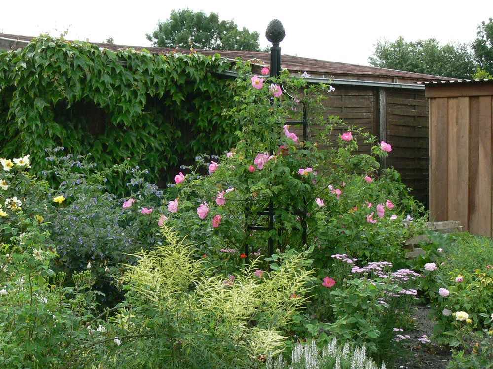 Metal Garden Obelisk in a Cottage Garden