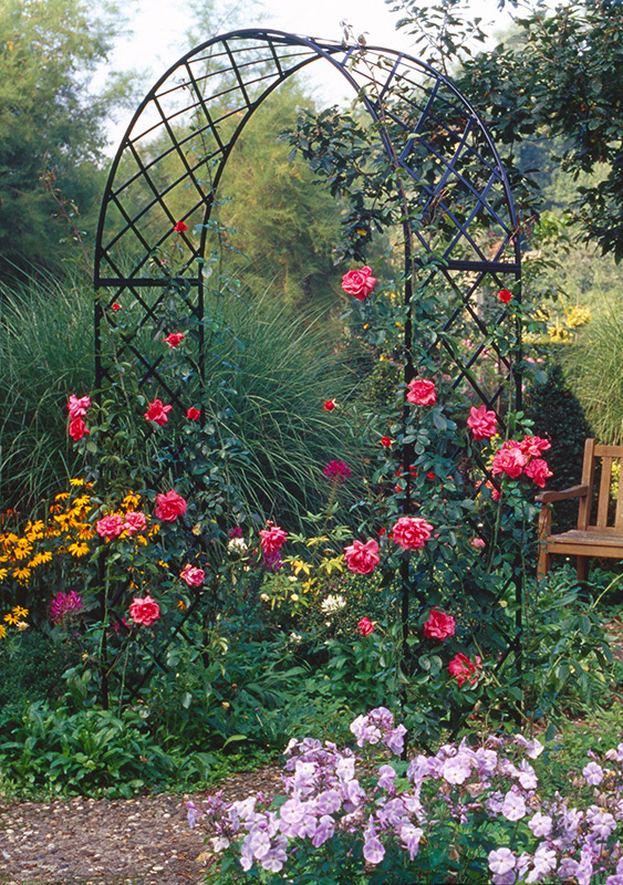 Rose arch Bagatelle with bench