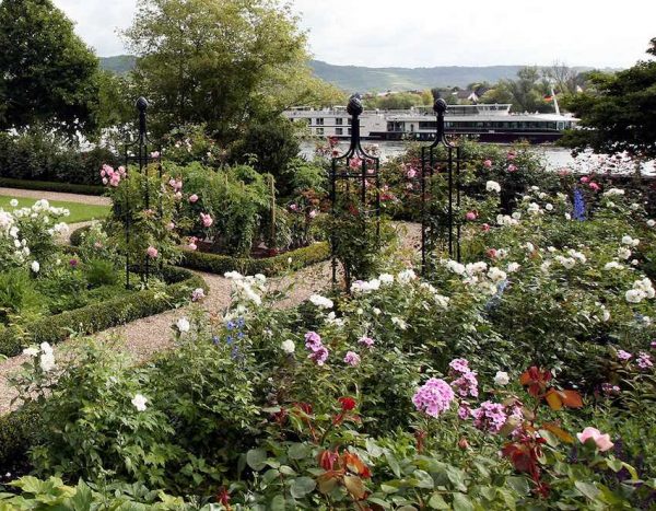 Three Classic Garden Elements rose obelisks in a garden alongside the Rhine