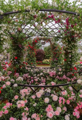 The Buscot Park Wedding Gazebo by Classic Garden Elements at the Chelsea Flower Show