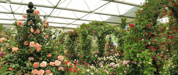 The Buscot Park Wedding Gazebo by Classic Garden Elements at the Chelsea Flower Show in 2018, alongside Malmaison Pyramid Garden Obelisks and Portofino Garden Arches