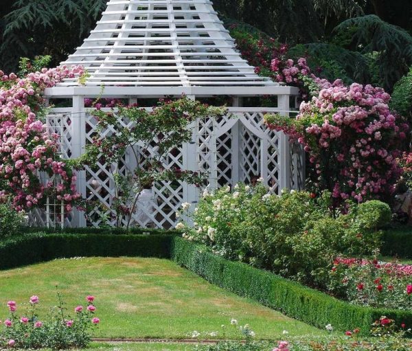 The Zweibrueck Wrought-Iron Gazebo by Classic Garden Elements covered in pink roses
