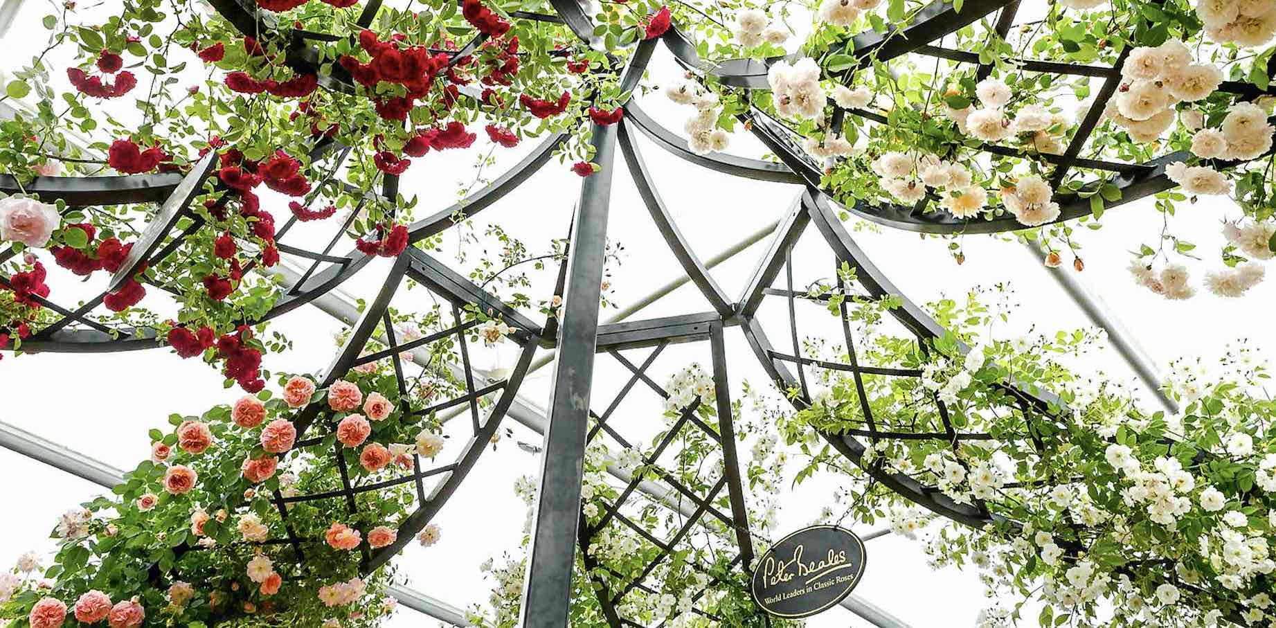 LYME PARK WEDDING GAZEBO-by Classic Garden Elements