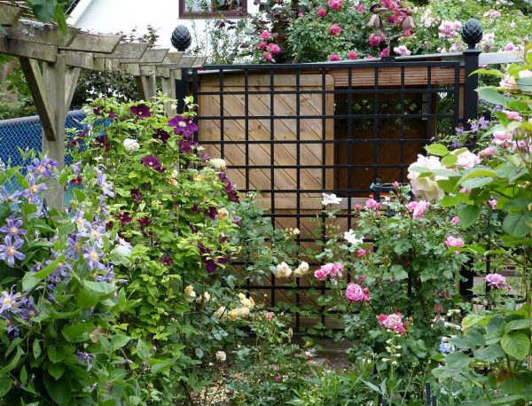 Wooden garden shed concealed behind a Classic Garden Elements Bauhaus Metal Railing Panel