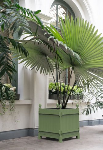 The Caisse de Versailles Planter CV-60 by Classic Garden Elements in front of a white façade