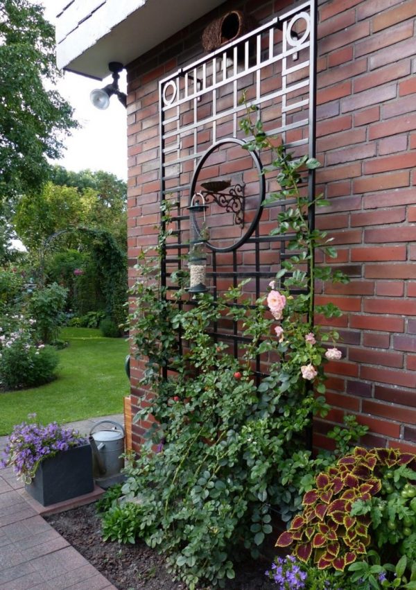 The Knebworth House Metal Wall Trellis by Classic Garden Elements installed on a brick house wall, with bird feeder