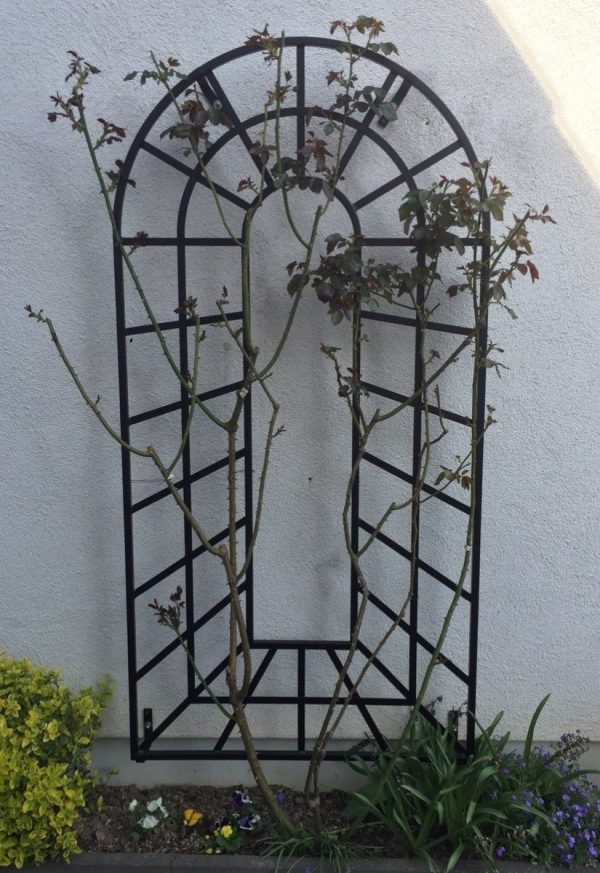 The Small Trompe-l’œil Wall Trellis by Classic Garden Elements with a climbing rose, installed on a white house wall