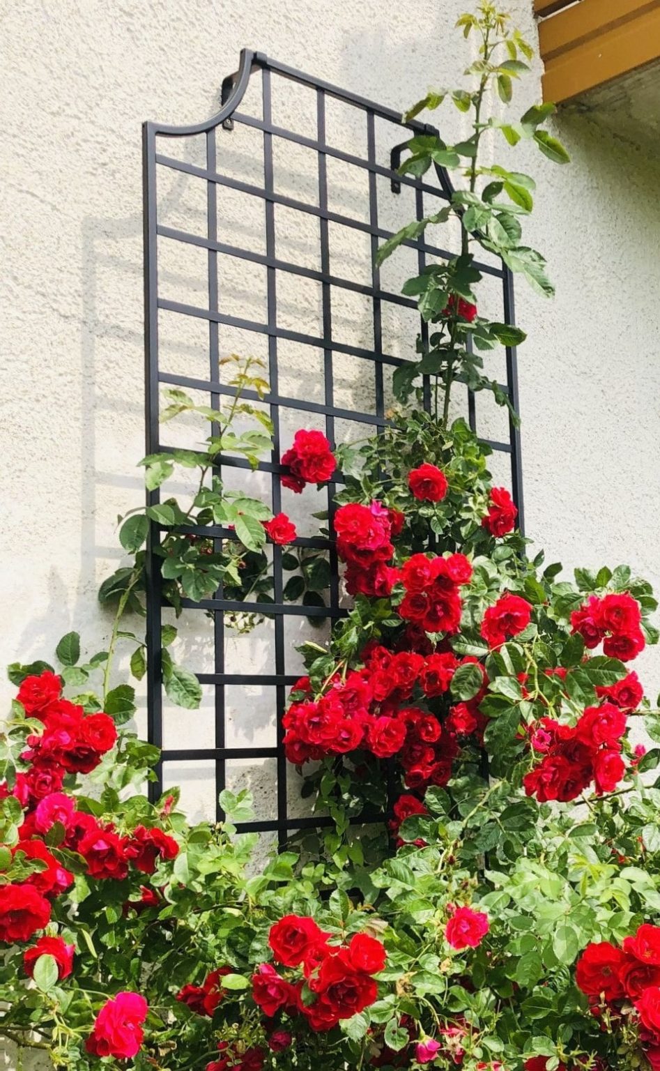 Garden trellis in eye-catching design, inspired by English country house