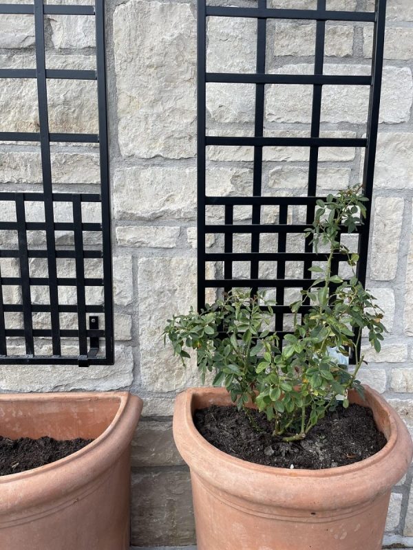 Close-up of the Croome Espalier Trellis by Classic Garden Elements with terracotta pots