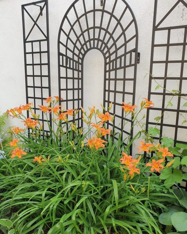 The Croome Treillage Panel Set by Classic Garden Elements surrounded by vibrant day lilies