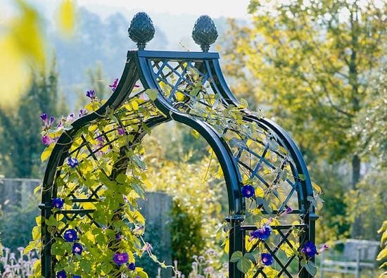 Arche De Jardin Dans Jardin Arceau À Rosiers En Métal Résistant Aux  Intempéries Treillis Tonnelle De