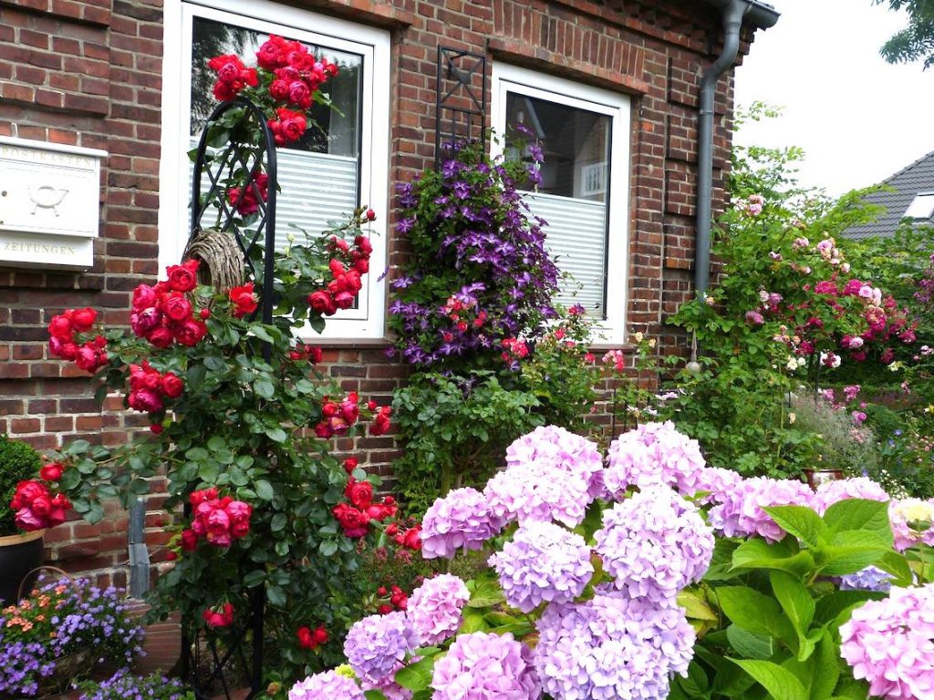 Roses and clematis growing up garden structures by Classic Garden Elements