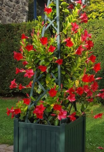 Versailles planter with Pyramid Trellis by Classic Garden Elements