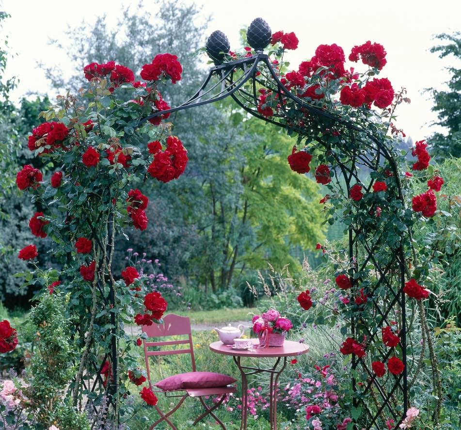 The Kiftsgate Victorian Rose Arch by Classic Garden Elements covered with red roses